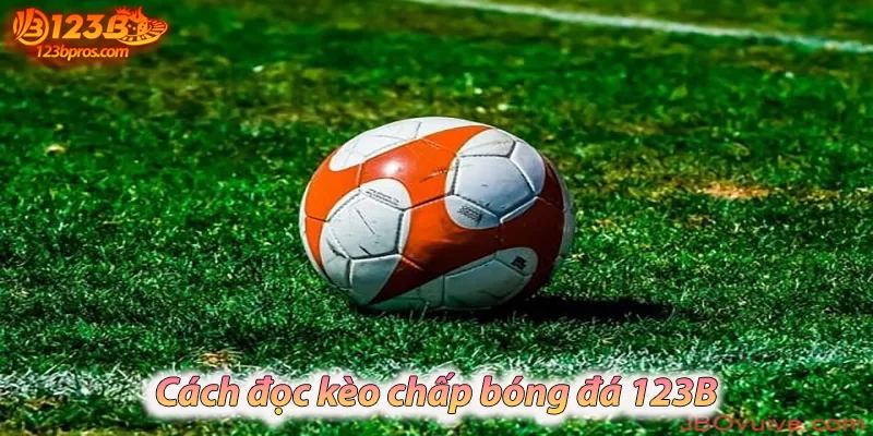 Đánh giá và độ tin cậy của nhà cái