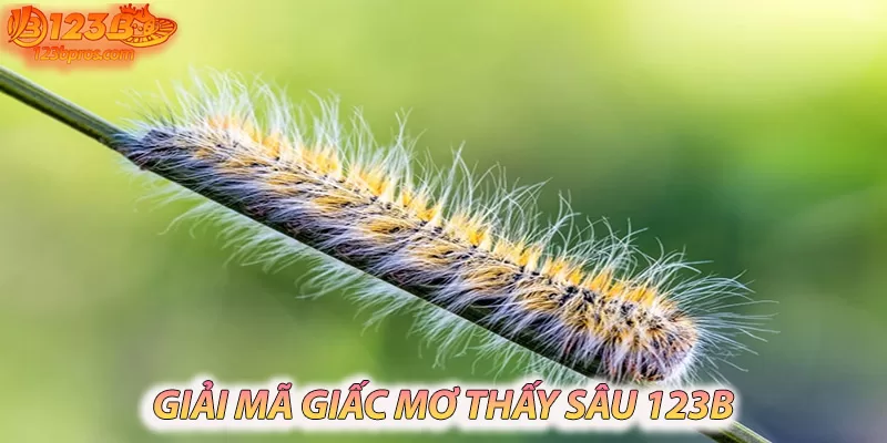 Câu hỏi thường gặp