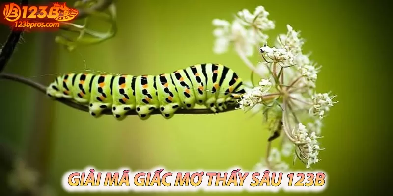 Giải mã giấc mơ thấy sâu