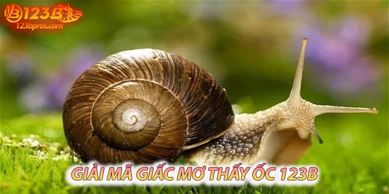 Làm sao để tìm hiểu thêm về giấc mơ thấy ốc?