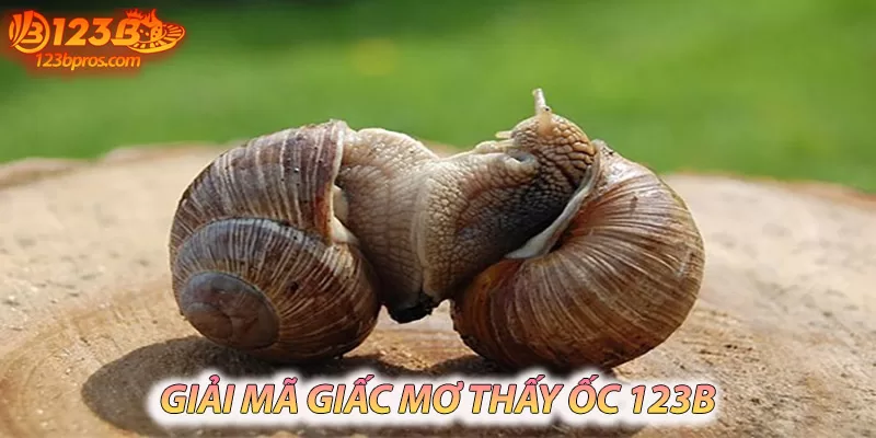 Tìm hiểu về ý nghĩa của giấc mơ