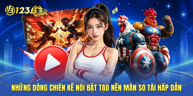 Những dòng chiến kê nổi bật tạo nên màn so tài hấp dẫn